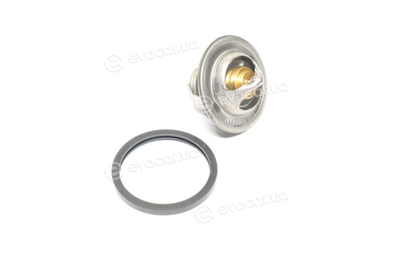 Wahler / BorgWarner 3017.87D2
