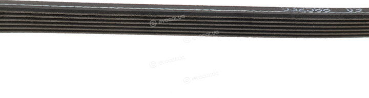 Gates 6DPK1215