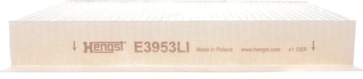 Hengst E3953LI