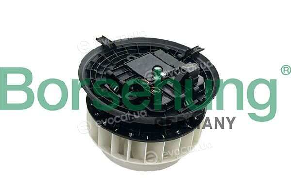 Borsehung B11275