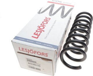 Lesjofors 4056824