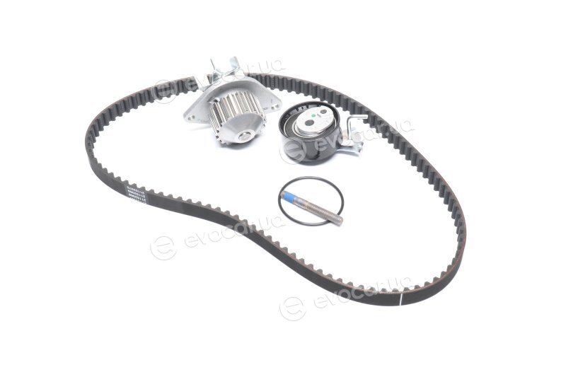 Dayco KTBWP3361