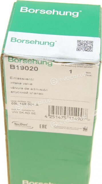 Borsehung B19020