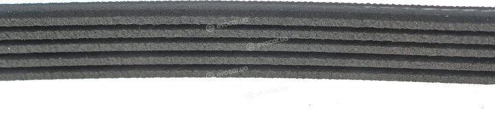 Gates 5PK810