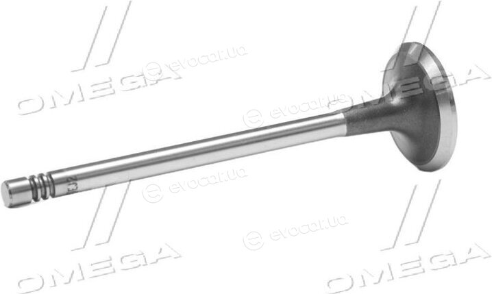 Gunes 7614