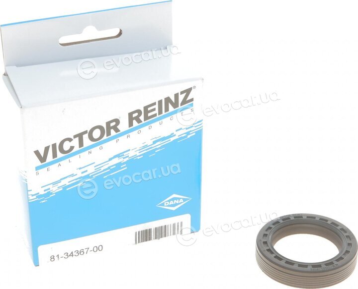 Victor Reinz 81-34367-00