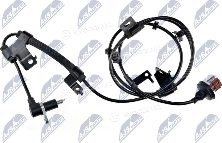 NTY HCA-NS-079