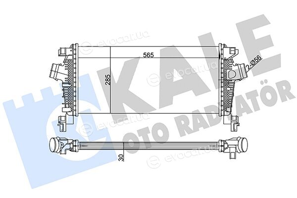 Kale 344800