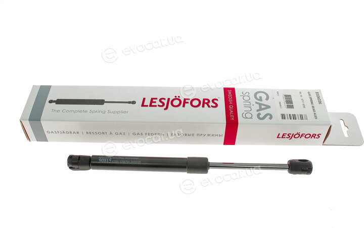 Lesjofors 8104226