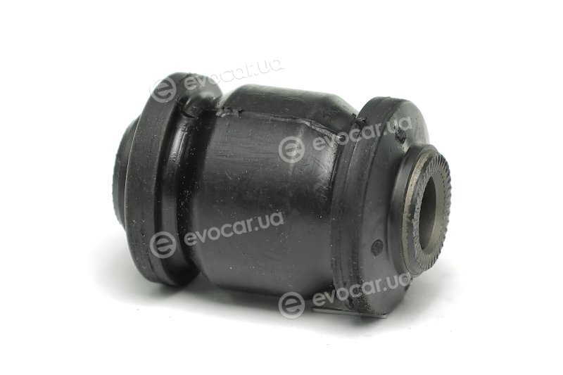 Sasic 2250003