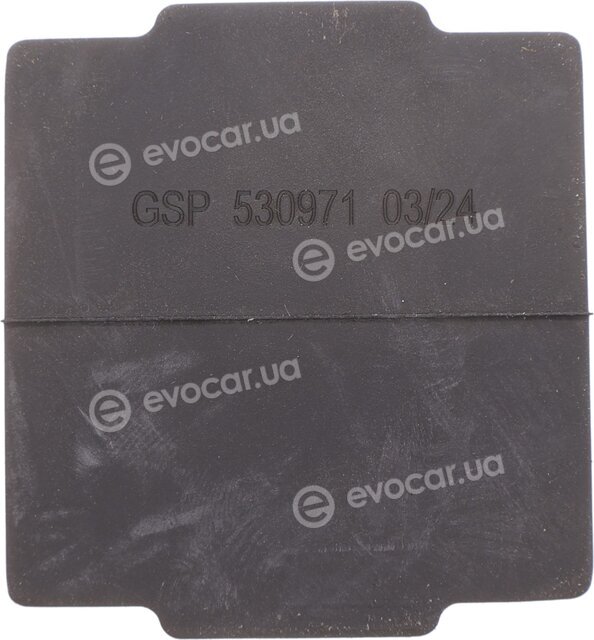 GSP 530971
