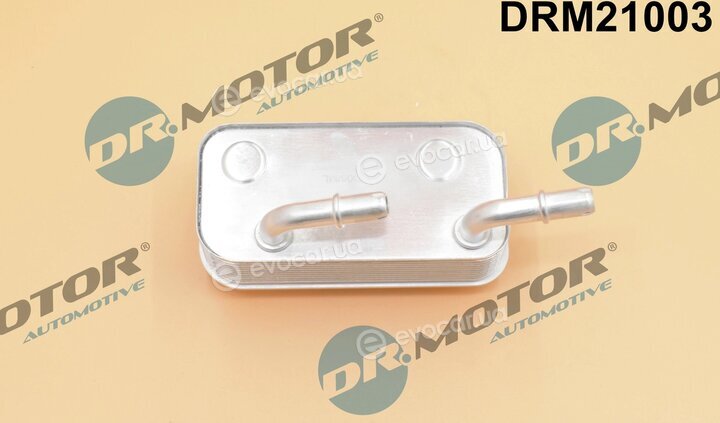 Dr. Motor DRM21003