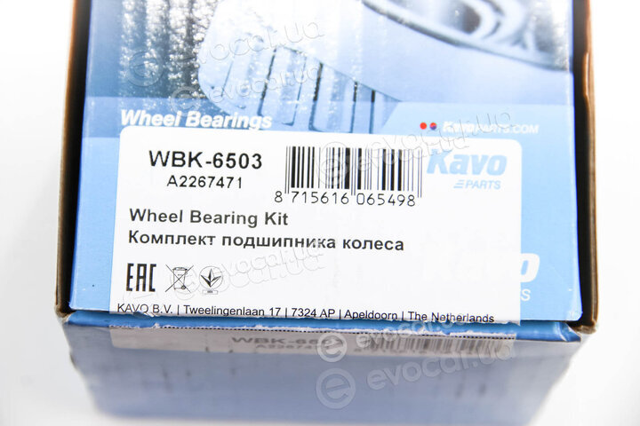 Kavo WBK-6503