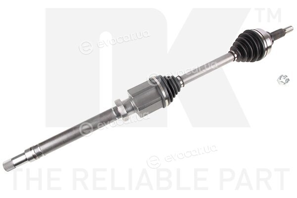 NK 502575