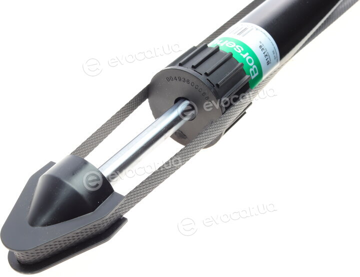 Borsehung B12139