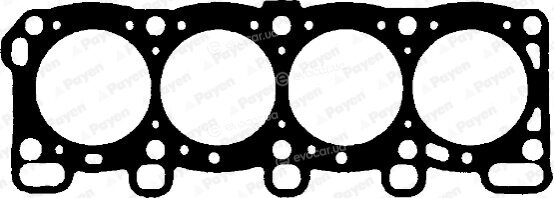Payen BN620