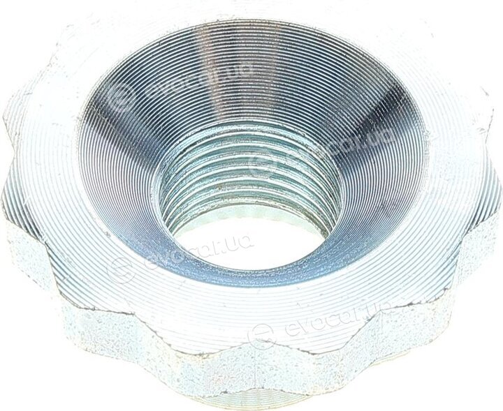 Solgy 216182