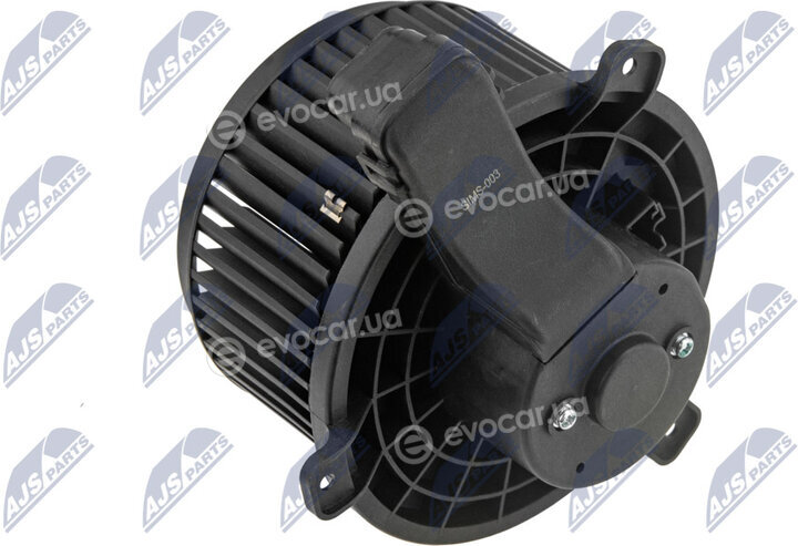 NTY EWN-MS-003