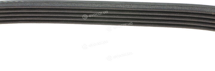 Dayco 5PK890