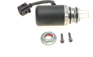 BorgWarner DS118611