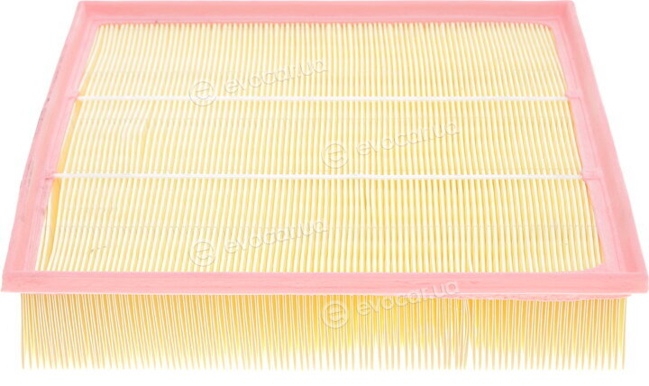 Solgy 103001