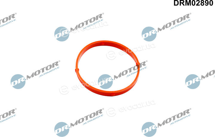 Dr. Motor DRM02890