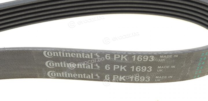 Continental 6PK1693 WP1