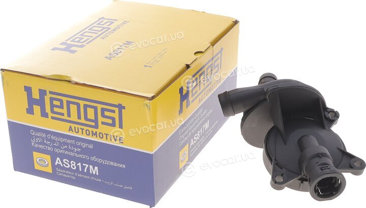 Hengst AS817M