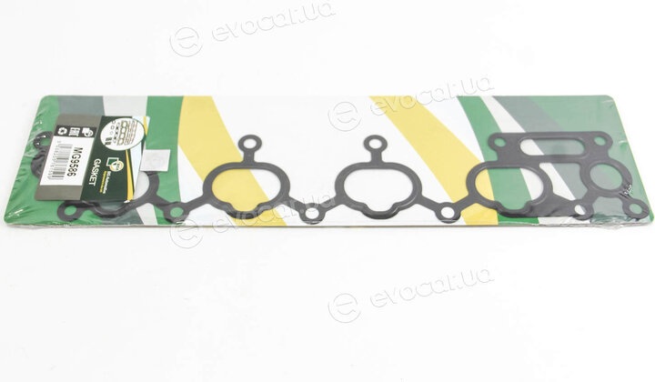 BGA MG9586