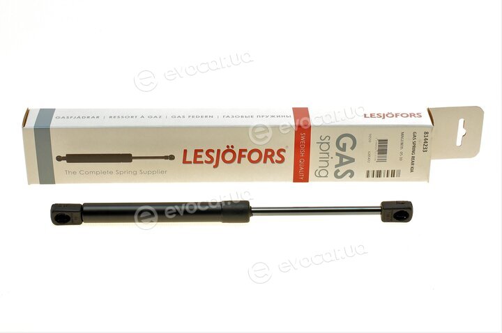 Lesjofors 8144233