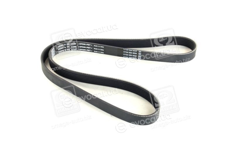 SKF VKMV 6PK1230