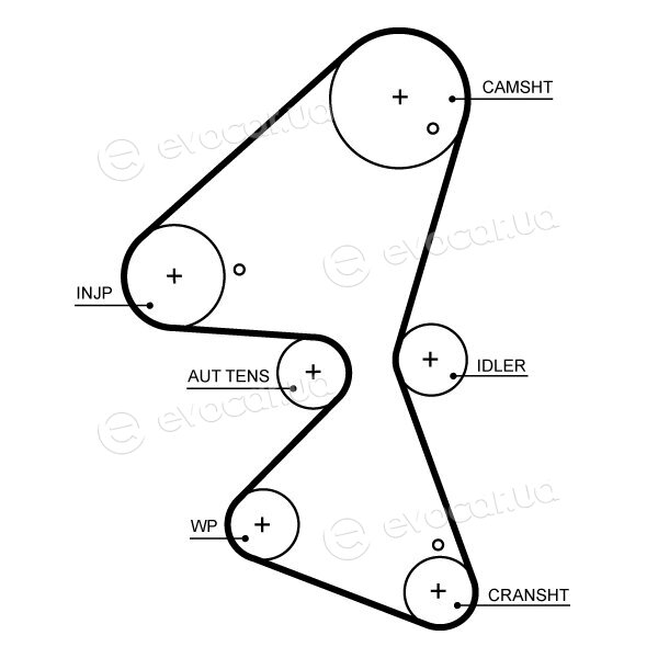 Gates K015705XS