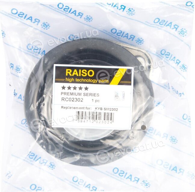 Raiso RC02302