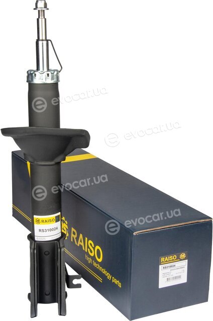 Raiso RS310024