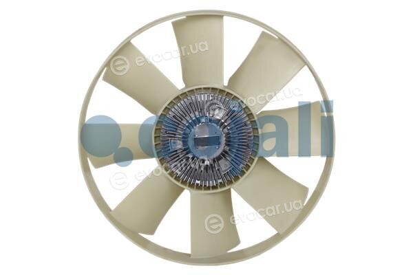 Cojali 7025121