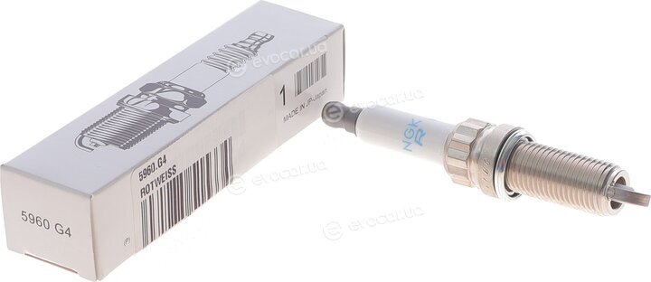 Rotweiss 5960.G4