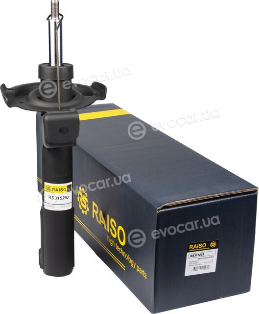 Raiso RS315293