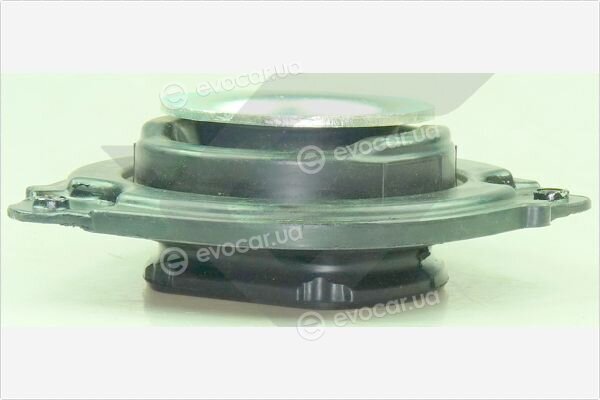 Hutchinson 590486
