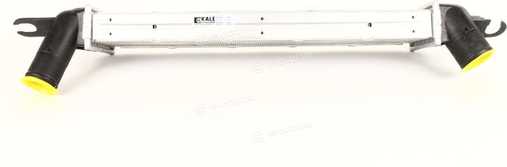 Kale 345095