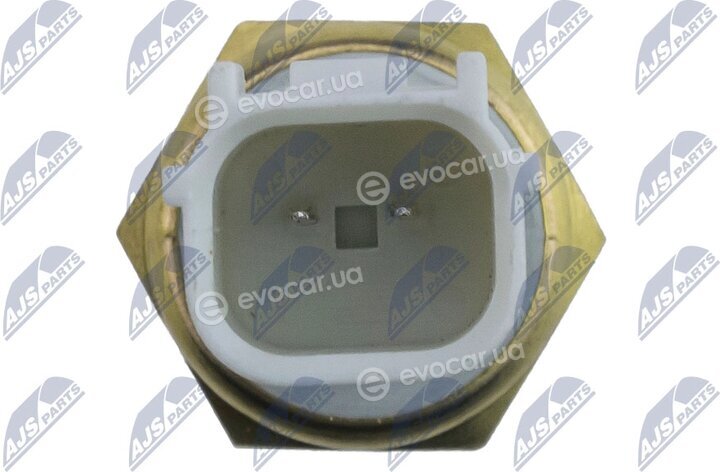 NTY ECT-PL-004