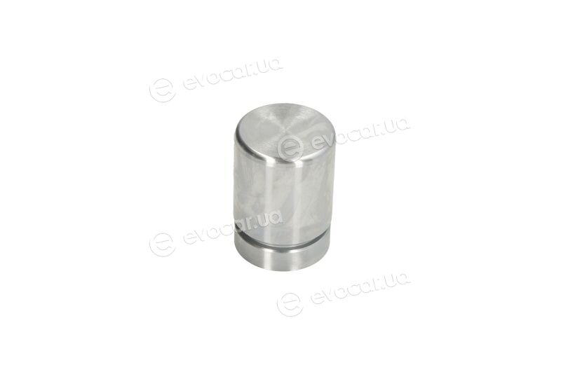 Autofren D025648