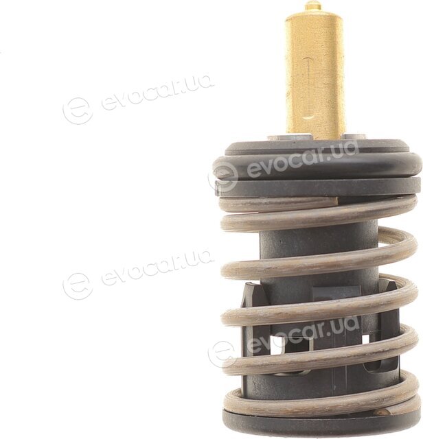 Mahle TX 495 87D