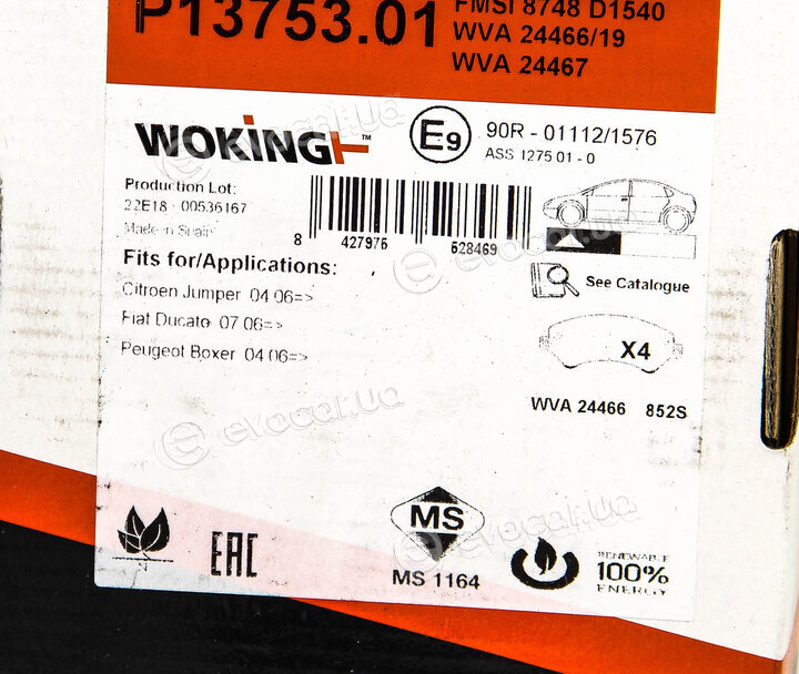 Woking P13753.01