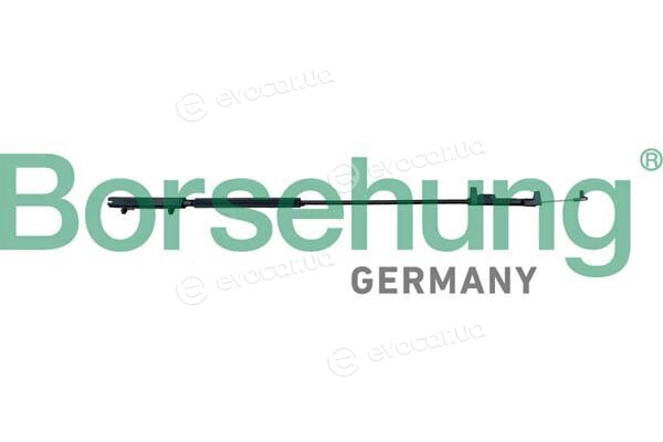 Borsehung B10777