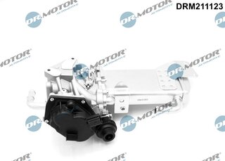 Dr. Motor DRM211123