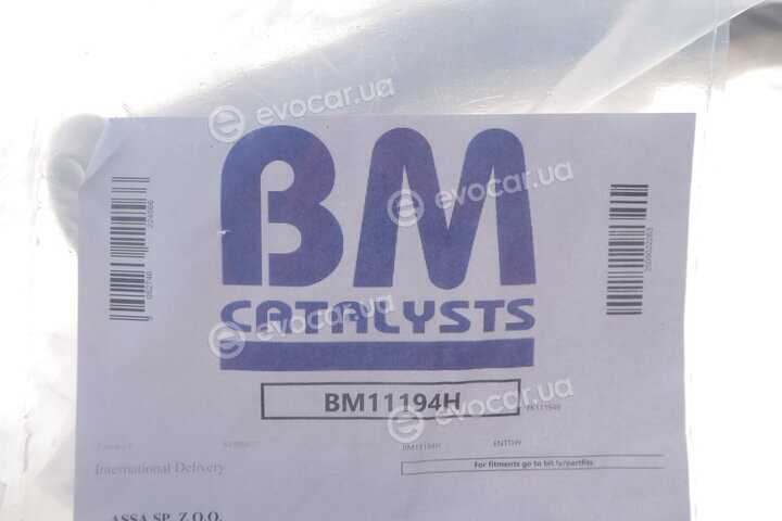 BM Catalysts BM11194H