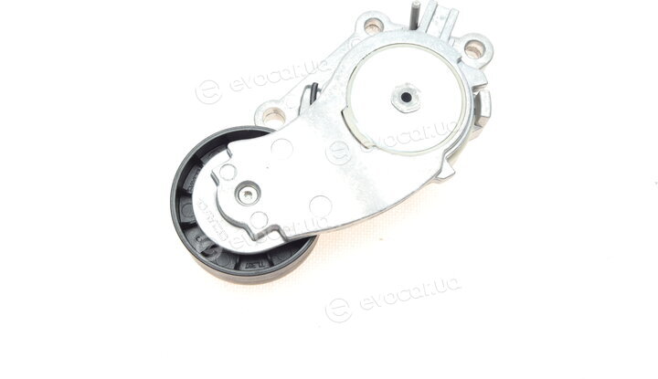 Dayco APV3221