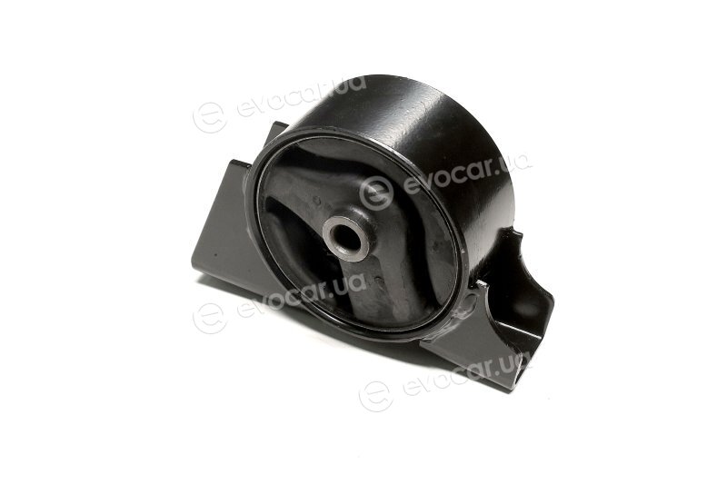 Sasic 9002525