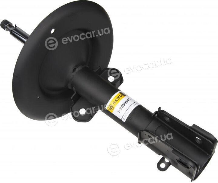 Raiso RS030645