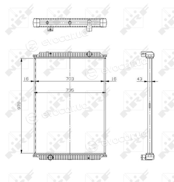 NRF 509564